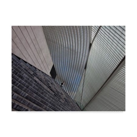 Yvette Depaepe 'Lia Ge Guillemins' Canvas Art,14x19